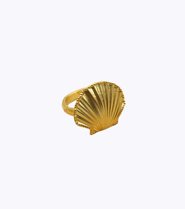 Shell Large Ring